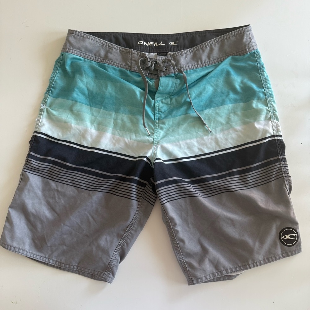 O'Neill Men's Gray and Blue Swim Shorts